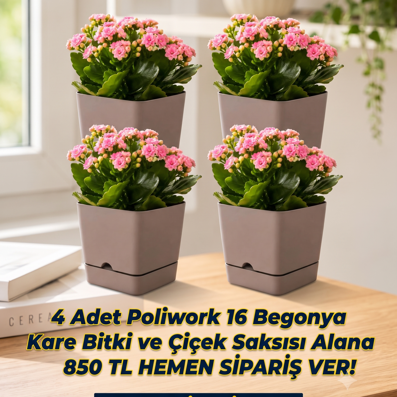 Poliwork Begonya Kare Kendinden Sulamalı Çiçek Saksısı