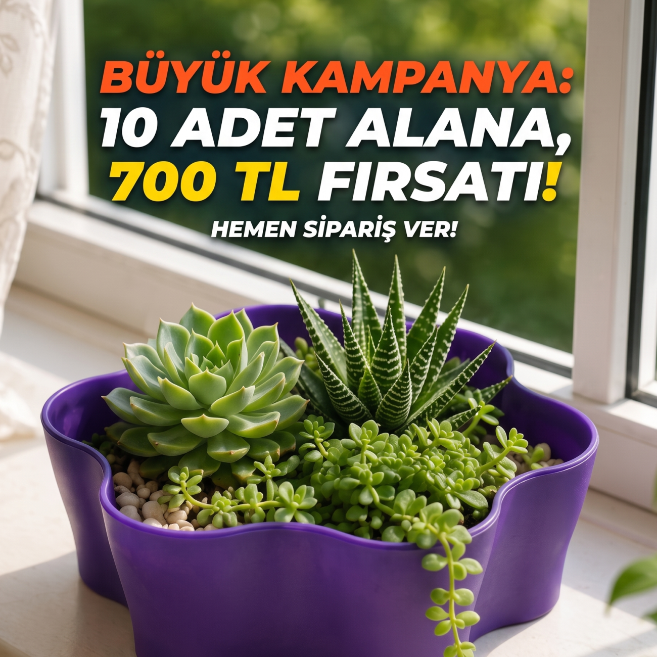 Poliwork Gardenya Mor Kaktüs Sukulent Saksısı 0.9 Lt
